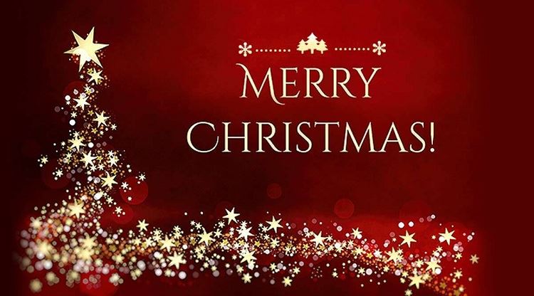 Vrolijk kerstfeest en een gelukkig nieuwjaar!